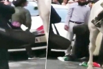journalist, poonam joshi saving Indian flag, watch journalist jumps into violent protest to save indian tricolor, Poonam