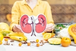 Kidneys Health medication, Kidneys Health India, how to keep your kidneys healthy, Chocolate