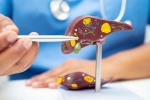 Liver Health factors, Liver Health factors, factors that worsens your liver health, Lungs