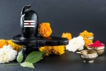 mahashivratri sadhana 2019, mahashivratri 2019 isha, maha shivratri 2019 visit these lord shiva temples to witness best of the maha shivratri, Haridwar