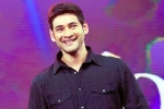 Sarkaru Vaari Paata movie, Sarkaru Vaari Paata updates, bollywood beauty for mahesh babu, Bharat ane nenu