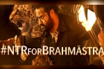Ranbir Kapoor, Brahmastra budget, ntr turns chief guest for brahmastra event, Fox star Ranbir Kapoor, Brahmastra budget, ntr turns chief guest for brahmastra event, Fox star