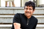 Nagarjuna upcoming projects, Nagarjuna new movie, nagarjuna s 100th film will be a multi starrer, Nagarjuna 100th film
