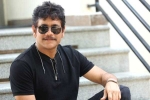 Nagarjuna upcoming movie, Nagarjuna news, nagarjuna s 100th film locked, Nagarjuna and akhil