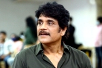 Nagarjuna upcoming movie, Nagarjuna periodic film, nagarjuna in a periodic drama, God father