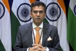 pakistan terror groups raveesh kumar., mea statement on paksitan, mea naya pakistan with naya soch should show naya action against terrorist groups, Pakistan terror