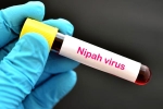 Nipah Virus - Kozhikode, Nipah Virus symptoms, nipah virus is back again two deaths registered, World health organization