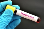 Nipah Virus, suspected Nipah Virus, nipah virus is back again two deaths registered, Veena
