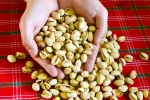 Pistachios news, Pistachios latest, pistachios are a perfect protein snack, Fried
