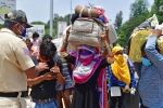 labourers, labourers, plight of migrant workers baby shakes to wake up deceased mother, Supreme court ruling