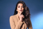 Pooja Hegde upcoming films, Pooja Hegde Hindi, pooja hegde lines up bollywood films, Shahid kapoor