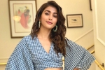 Sriram Venu, Pooja Hegde updates, pooja hegde in pink remake, Pink remake