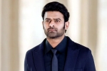 Prabhas Raja Deluxe, Prabhas next film, new updates of prabhas and maruthi film, Boman