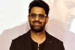 Prabhas, People Media Factory, interesting title for prabhas next, Maruthi