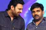 Prabhas and Maruthi film new title, Prabhas and Maruthi film news, new title for prabhas and maruthi film, Nidhhi agerwal