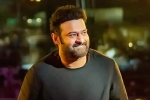 Salaar film updates, Salaar release date, prabhas back to the sets of salaar, Indian actors