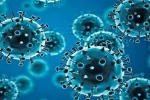 R.1 Coronavirus countries, R.1 Coronavirus latest, r 1 variant of coronavirus traced in 35 countries, Coronavirus usa