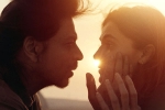 Dunki action, Dunki total business, srk s dunki to be high on violence, Action trailer