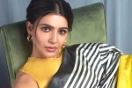 Samantha with Vicky Kaushal, Samantha news, samantha in talks for one more bollywood film, Telugu movies