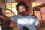 Shah Rukh Khan updates, Shah Rukh Khan, shah rukh khan to play a don in king, Siddharth anand