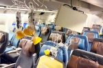 Singapore Airlines turbulence horror news, Singapore Airlines turbulence horror news, singapore airlines statement after turbulence horror, Singapore airlines