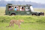 South African Safari Trip latest, South African Safari Trip total days, how to plan your south african safari trip, Spot