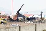 South Korea Plane Crash cause, South Korea Plane Crash breaking, pilot made mayday call and mentioned bird strike in south korea plane crash, Runway