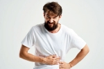 Stomach Problems summer tips, Stomach Problems summer news, why do stomach problems rise in summer, Salad