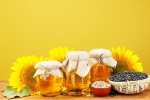 Sunflower Oil for heart, Sunflower Oil, long term effects of consuming sunflower oil on heart health, Hero