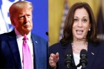 Kamala Harris, US Presidential Polls news, ai predictions on us presidential polls, Up election results