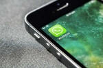 WhatsApp breaking news, WhatsApp latest update, whatsapp rolls out new calling effects animations and stickers, Puppy