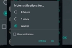 customization, Whatsapp, whatsapp to bring always mute option for chats on android, Wallpapers