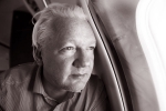 Julian Assange updates, Julian Assange back, wikileaks founder julian assange returns to australia after 14 years, Nitin