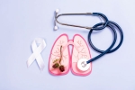 World Pneumonia Day 2024, World Pneumonia Day, all about world pneumonia day, Lungs