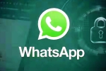 iOS Testing Multi-Account Support for WhatsApp breaking news, iOS Testing Multi-Account Support for WhatsApp breaking, whatsapp for ios testing multi account support, Messi iOS Testing Multi-Account Support for WhatsApp breaking news, iOS Testing Multi-Account Support for WhatsApp breaking, whatsapp for ios testing multi account support, Messi