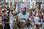Pakistan, Bin Laden new updates, bin laden continues to mobilize jihadists ten years after his death, Al qaeda