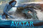Avatar: The Way of Water latest, Avatar: The Way of Water reviews, terrific openings for avatar the way of water, Zoe