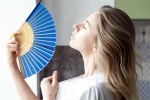 Hydration in Summer tips, Hydration in Summer 2025, how to stay hydrated during extreme heat, Salad