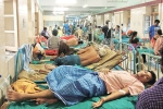 anemia causes, iron levels chart, people with low iron levels in blood likely to transmit dengue, Mosquitoes