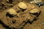 7200 year old human remains breaking updates, 7200 year old human remains study, remains of a teenager who died 7200 years found, 7200 year old human remains